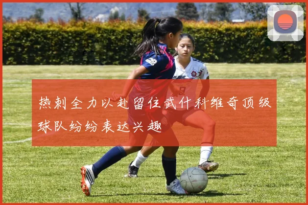 热刺全力以赴留住武什科维奇顶级球队纷纷表达兴趣