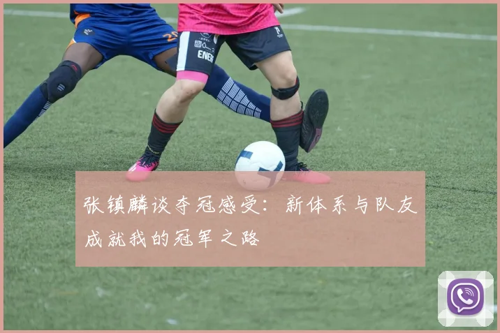 张镇麟谈夺冠感受：新体系与队友成就我的冠军之路